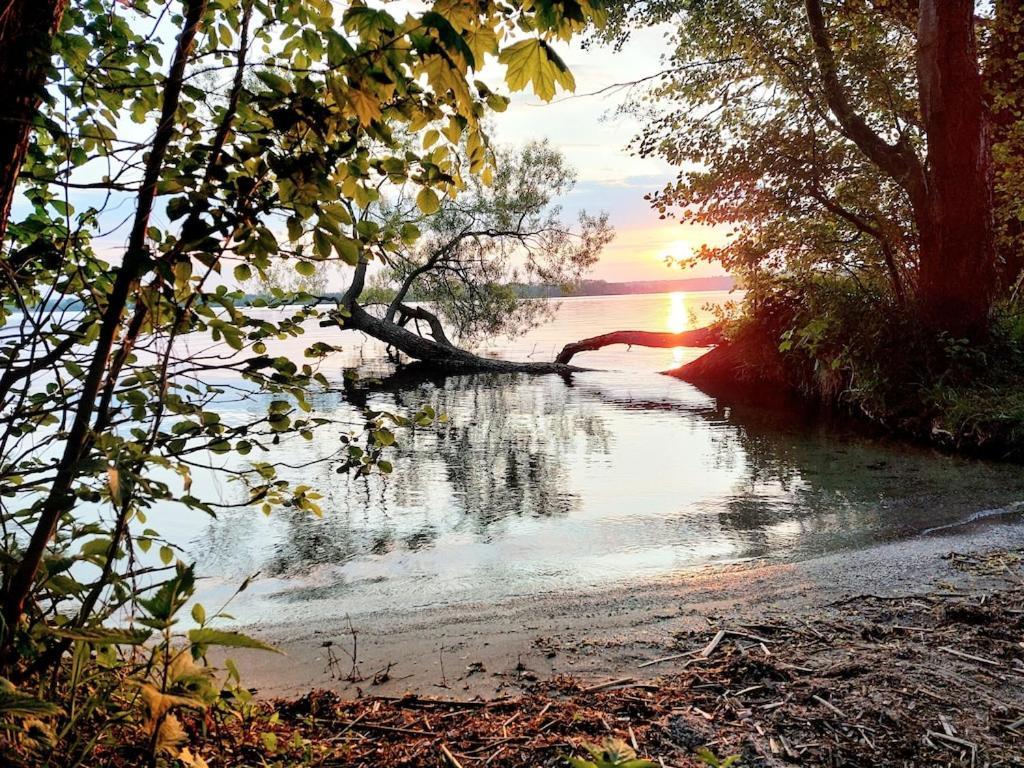 Ferienhaus Flessenow Am Schweriner See المظهر الخارجي الصورة